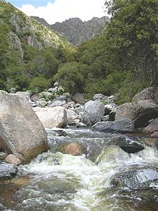 Chiclayo Region stream